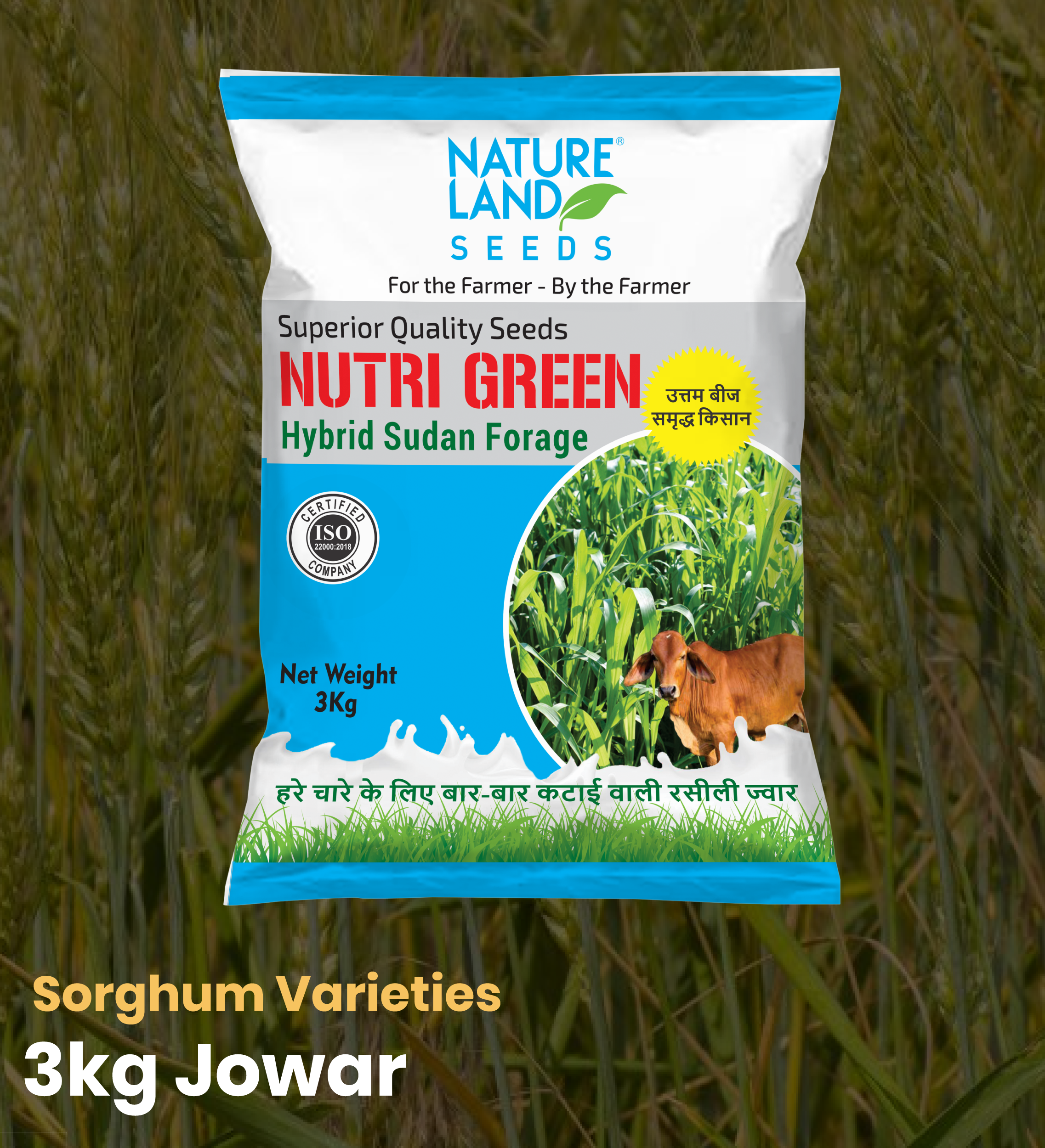 3 KG Sorghum