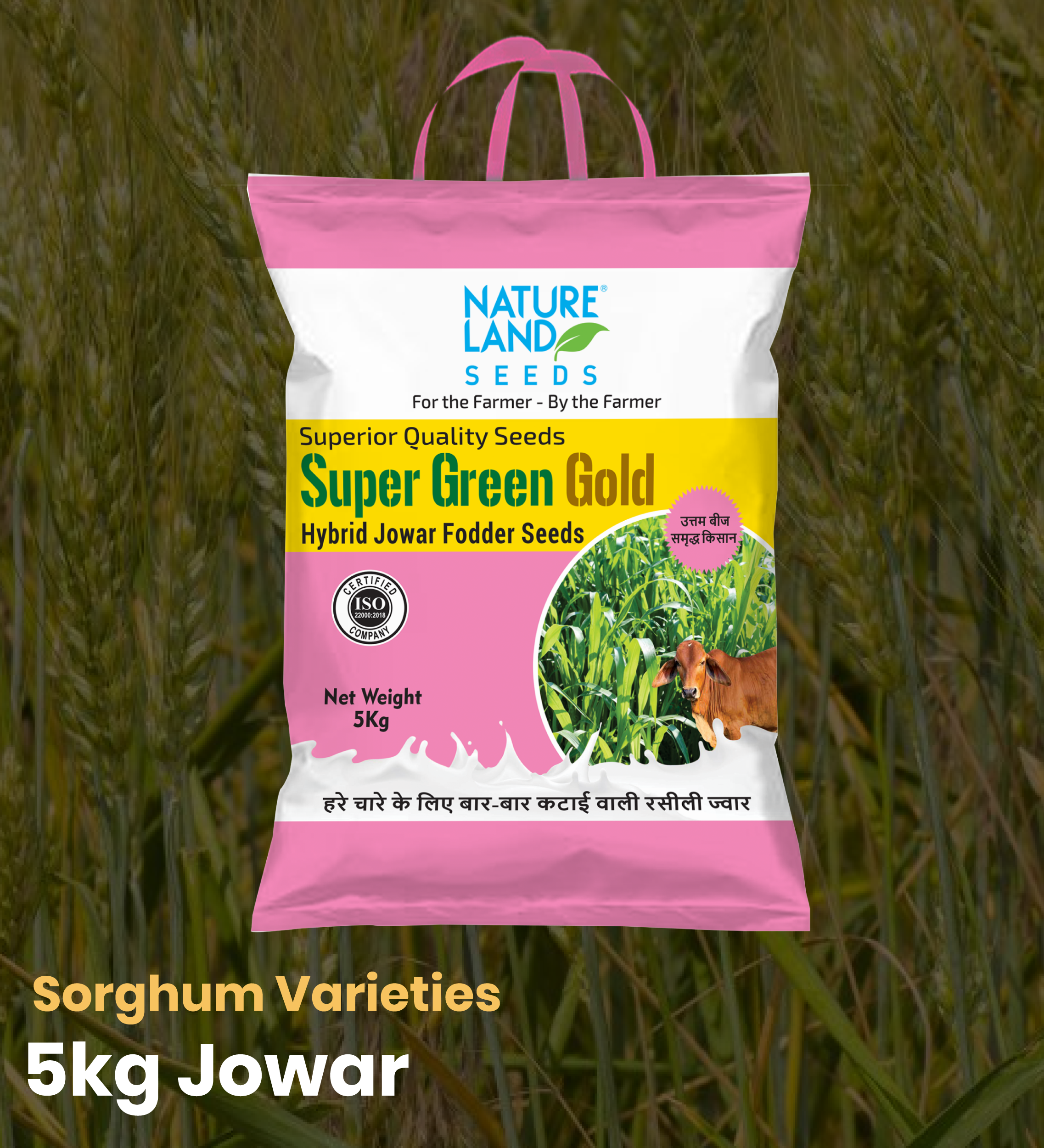 5 KG Sorghum