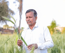 नरेंद्र बिश्नोई
