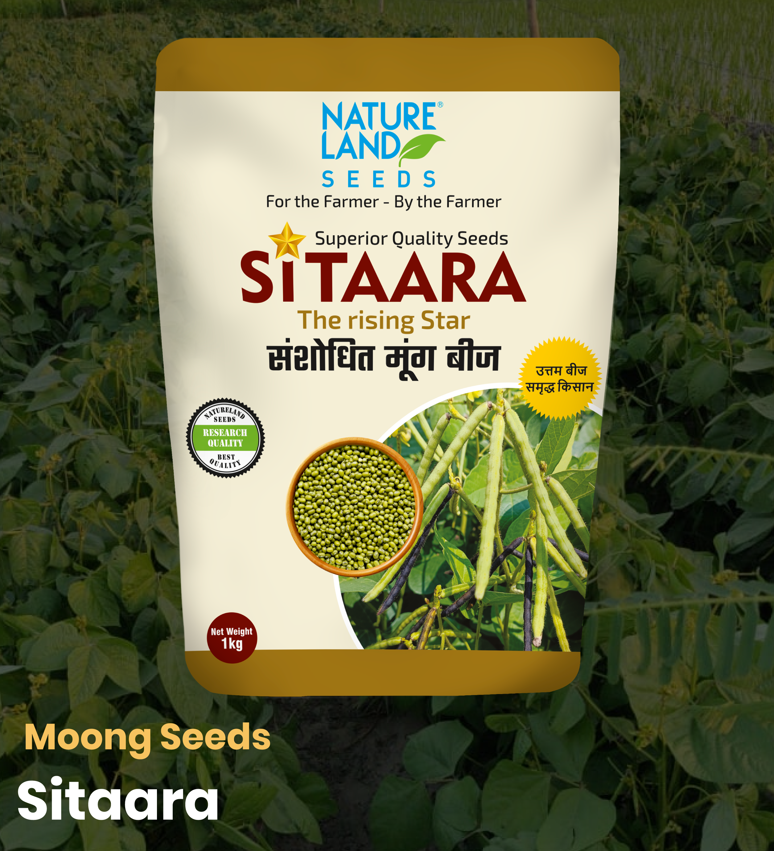 Moong Seeds Sitaara