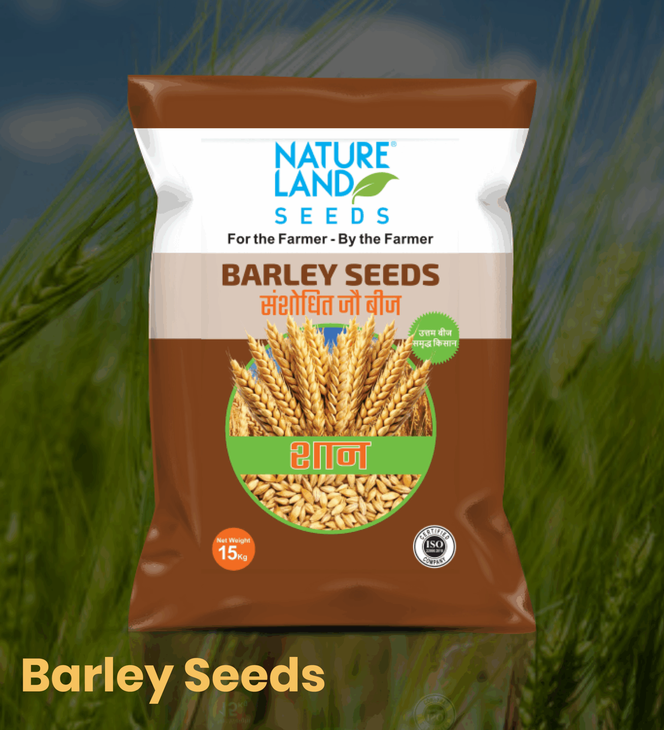 Moong Seeds Super Shahenshah